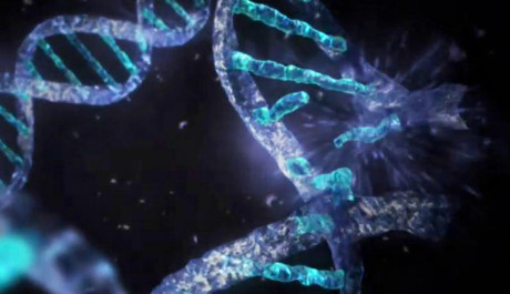 DNA nevznik&aacute; jen tak, je to velmi složit&yacute; proces. Zdroj: NASA.gov