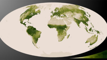 OBR: Vegetační pokrytí planety