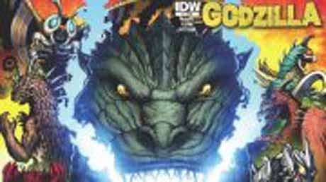 v&yacute;řez z ob&aacute;lky