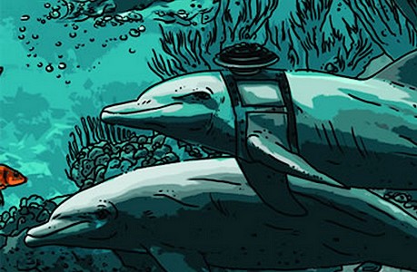 OBR: Až delfíni promluví