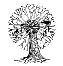 OBR: Straky na vrbě