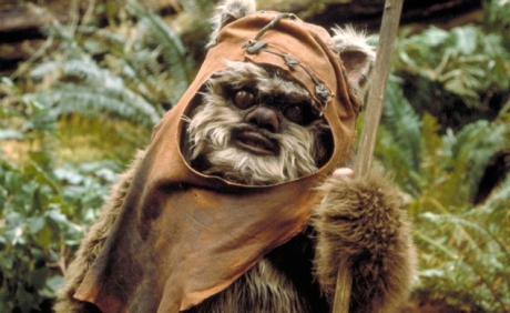 Wicket. Zdroj: Lucasfilm