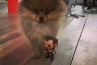 Hora Hra o trůny herec Hafþór Júlíus Björnsson