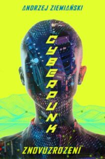 Andrzej Ziemianski: Cyberpunk