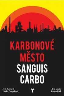 Roman Bílek: Karbonové město