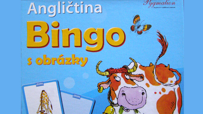 Angličtina Bingo