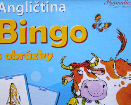 Angličtina Bingo