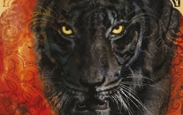 OBR: Tigrova stezka, přebal knihy