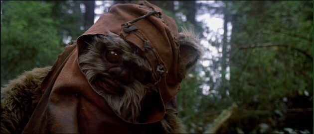 03_ewok