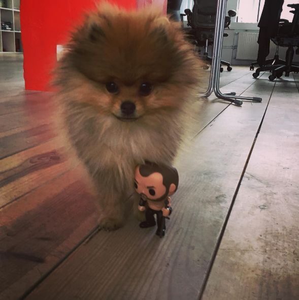 Hora Hra o trůny herec Hafþór Júlíus Björnsson