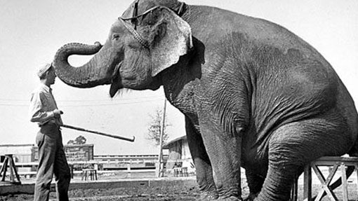 Únikové hry houdini