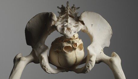 FOTO: Hlava pohřbená u zadku