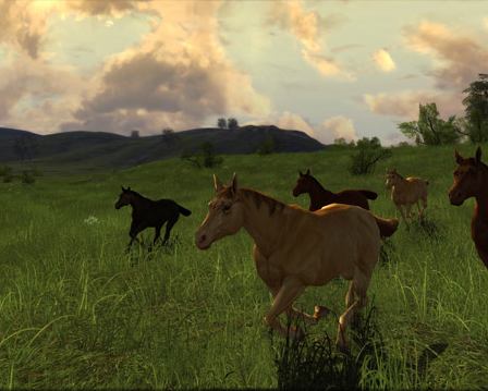 OBR.: LotRO - Riders of Rohan - koně