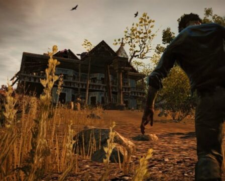 State of decay