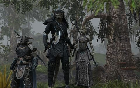 the-elder-scrolls-online-priorita