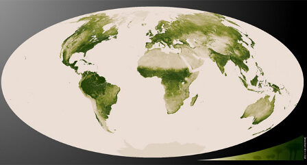 OBR: Vegetační pokrytí planety